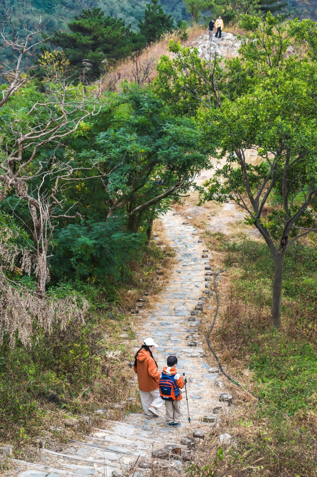 每周一山🚩后悔来晚了❗️青岛适合带娃爬的山