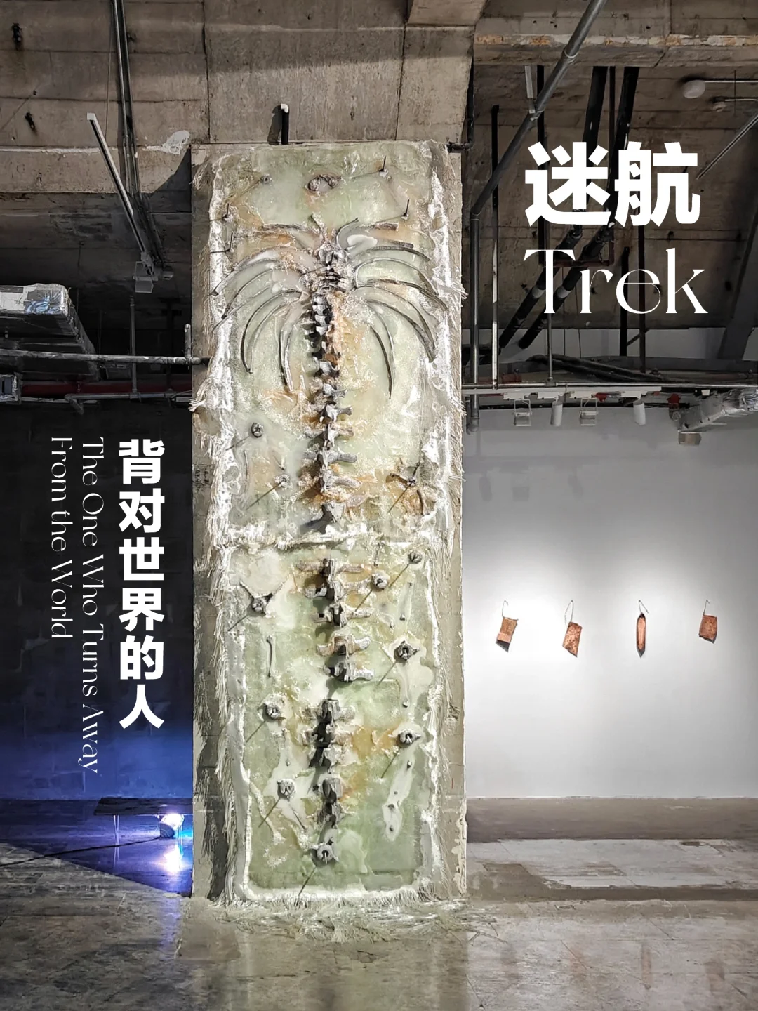 苏河艺术季｜人与技术，人与自然