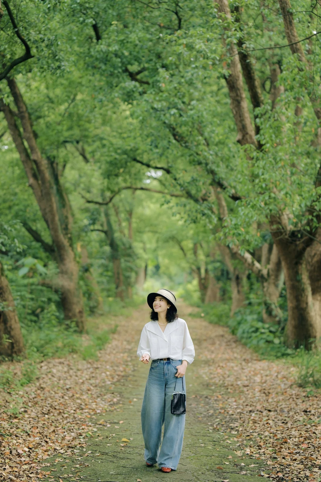 春天，就该在大树下自由呼吸