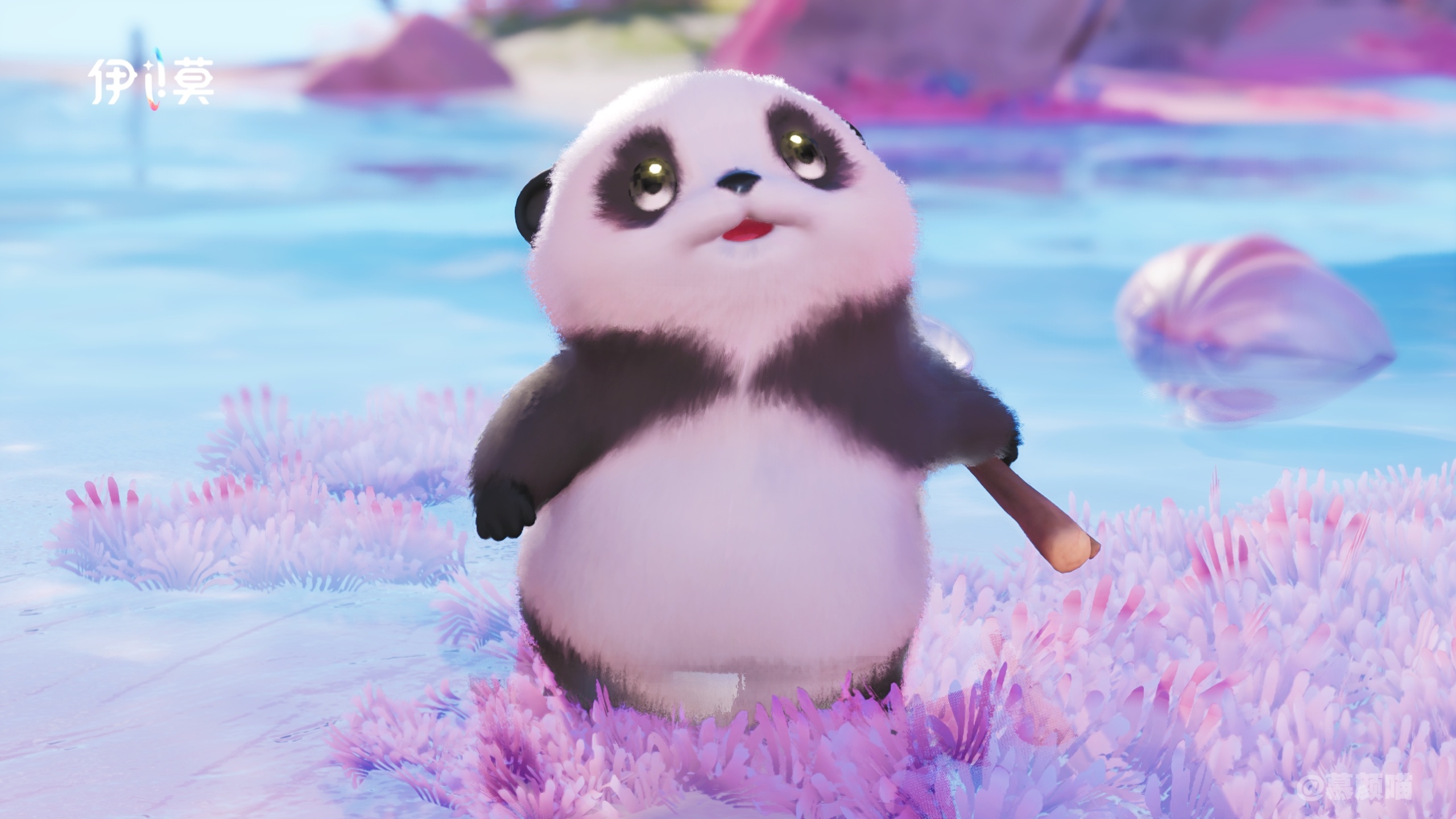 [超话] 伊莫摄影｜羞羞獭真的太可爱噜~ 有白蓝羞羞獭，小熊猫羞羞獭...