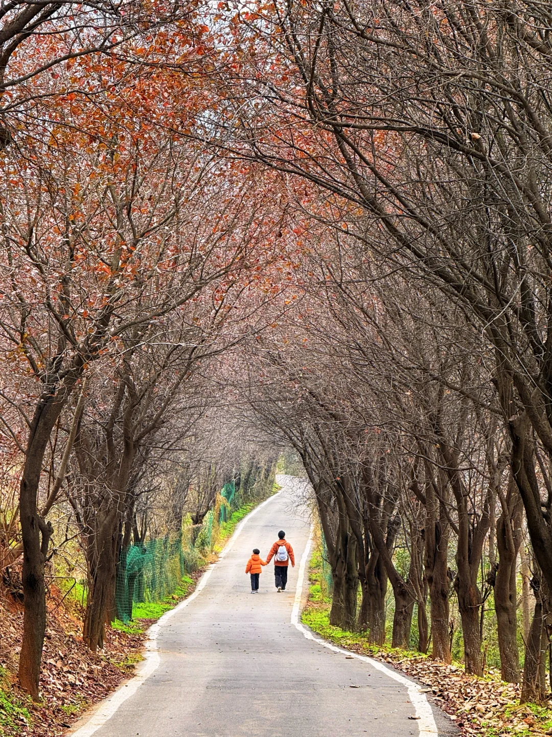 西安30分钟｜半天时间就可以的亲子徒步路线！