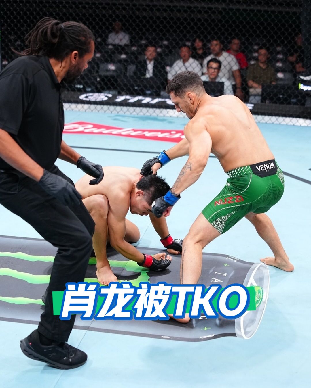 肖龙（生番哥）｜UFC上海站 8‑29副赛
 
赛果：第一回合1分钟，被意大利努齐TKO落败 
 
比赛中途出现意外插眼，恢复后遭到连续重拳终结，UFC三连败
ufc上海 格斗之夜