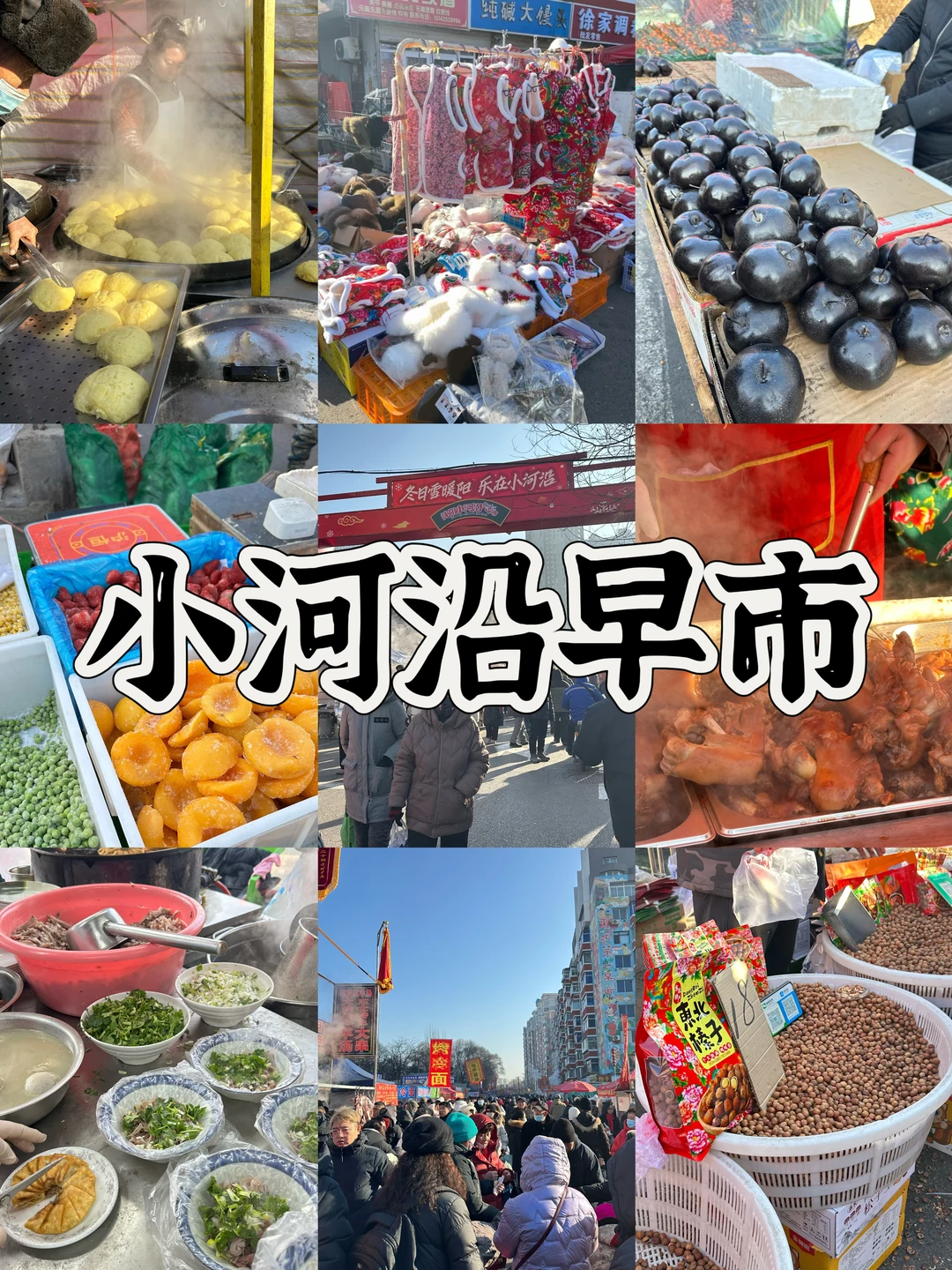 沈阳小河沿早市丨人均20吃撑还能拎一堆❓