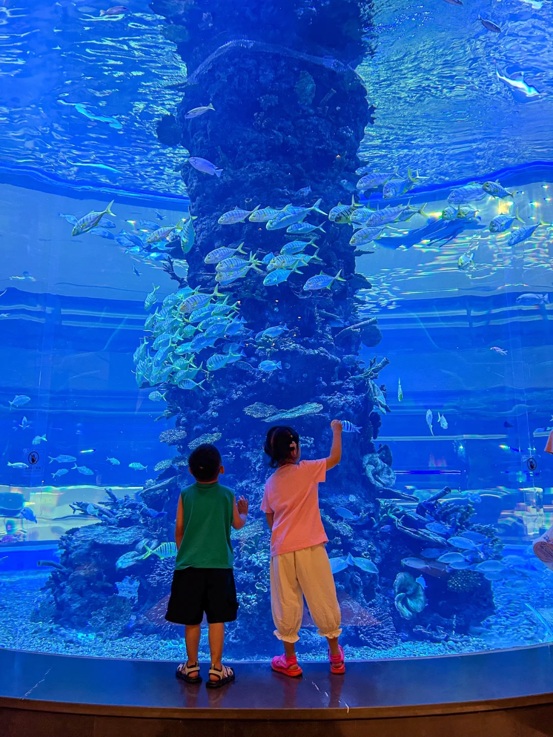 在餐厅里见到水族馆 🐟🐠着实被惊艳到了！