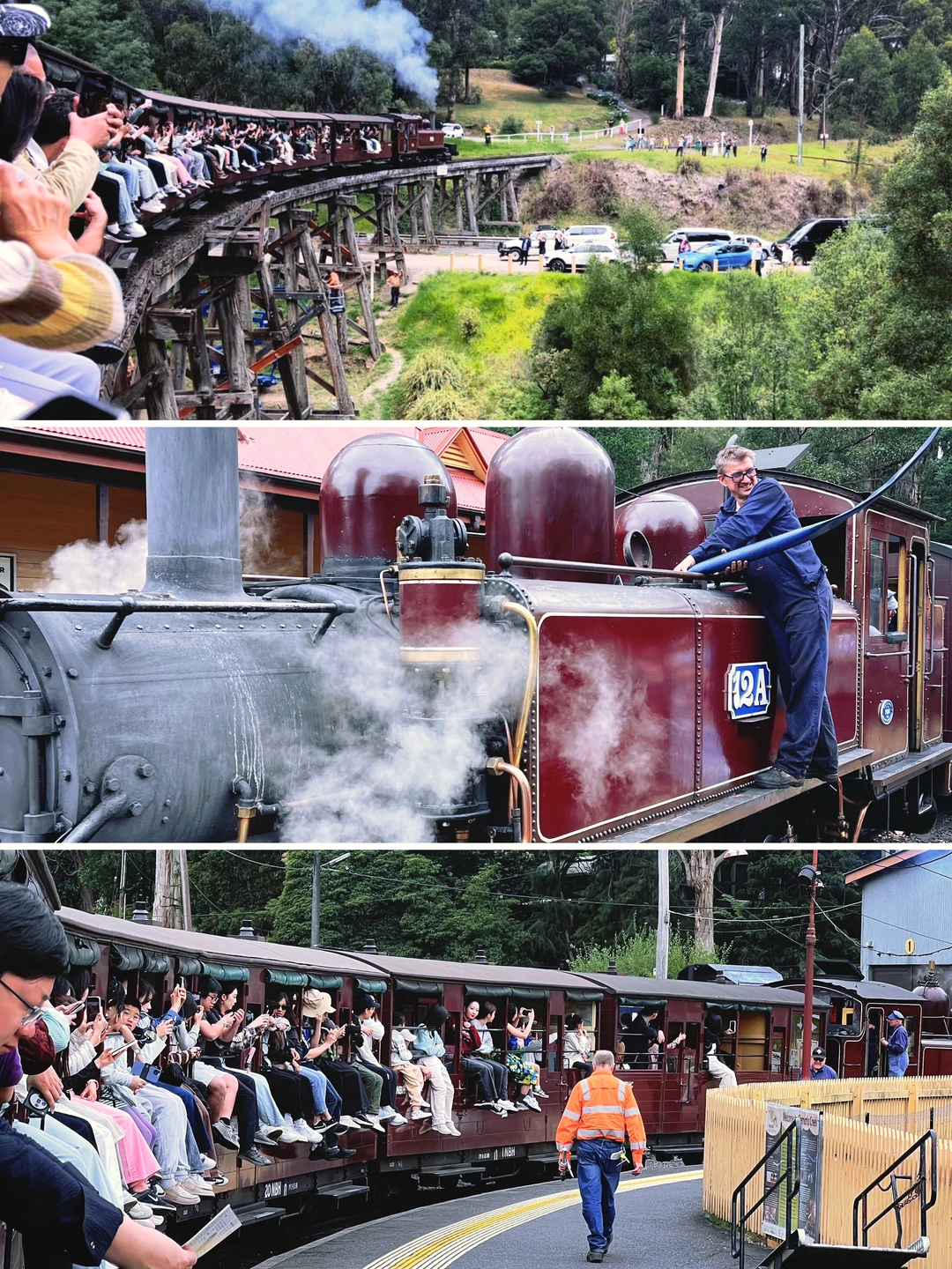 🇦🇺Puffing Billy蒸汽小火车🚂的一些tips