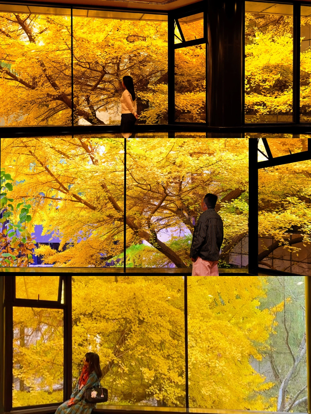 人生建议❗️秋天一定要去趟北京