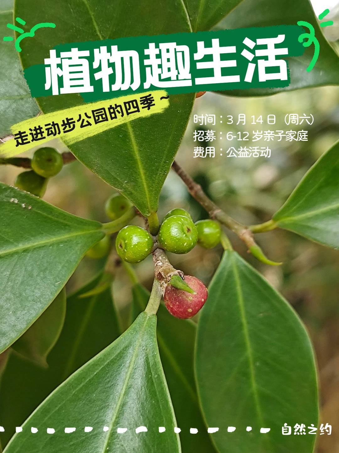 自然为什么｜神奇植物有话说 3️⃣0️⃣