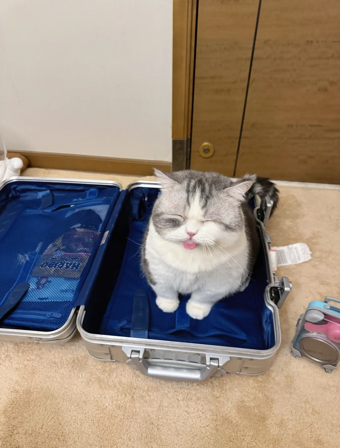 不带它出门蹲在那里做鬼脸