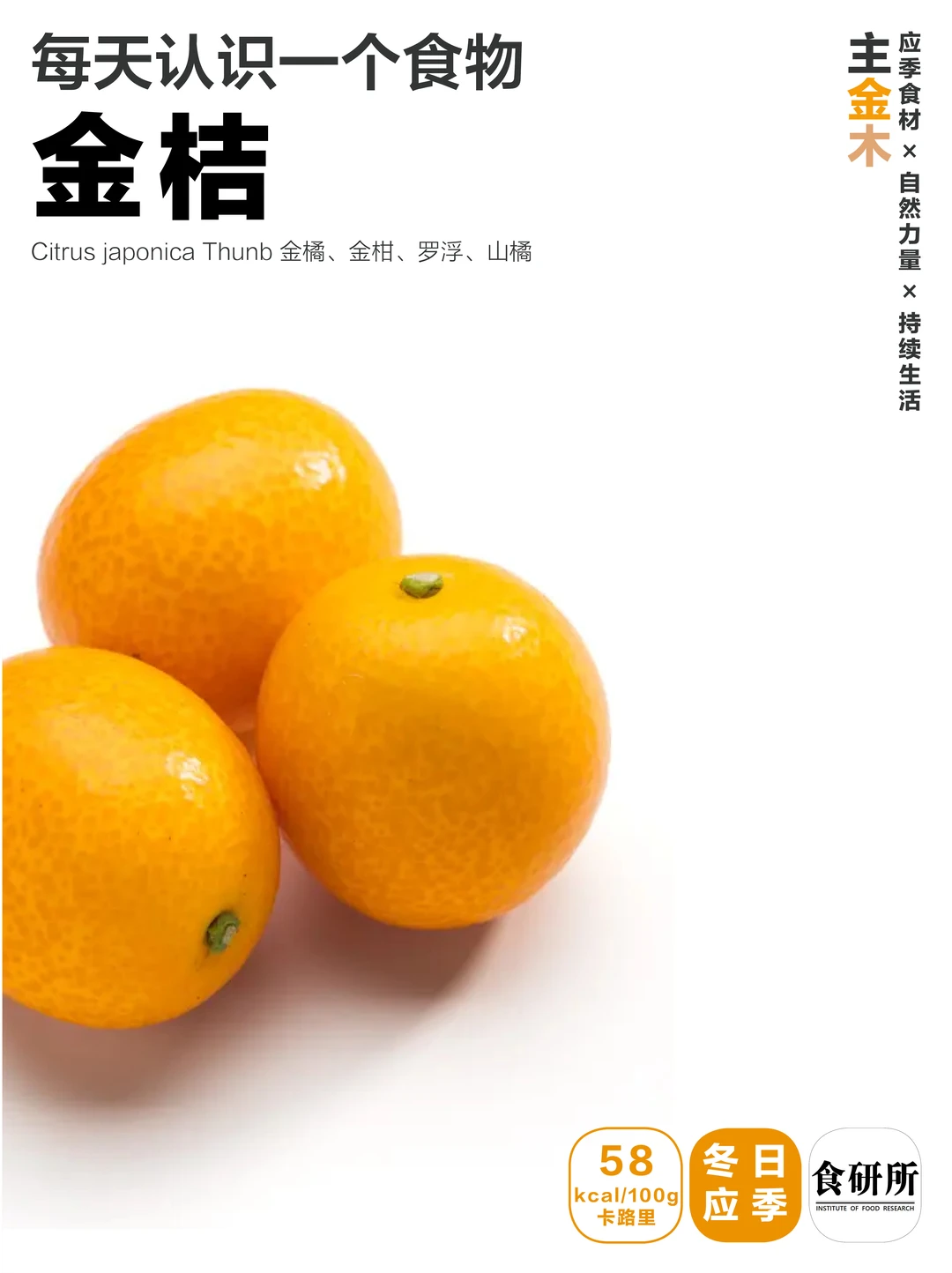 金桔 | 要不要吃皮昂？