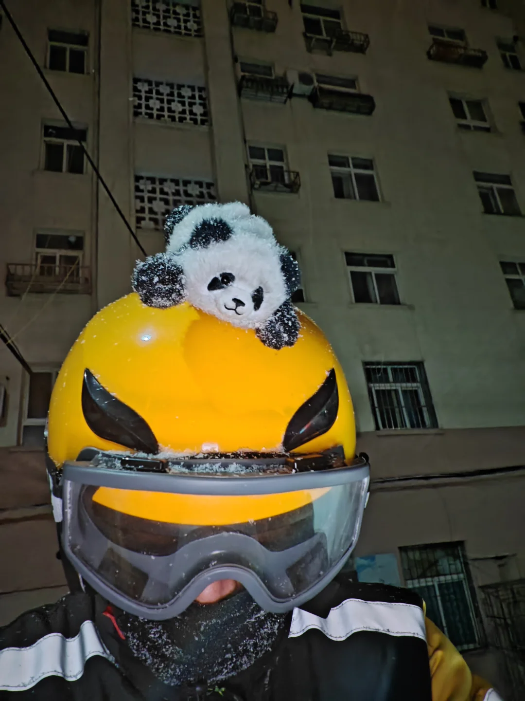 我可怜的小熊猫