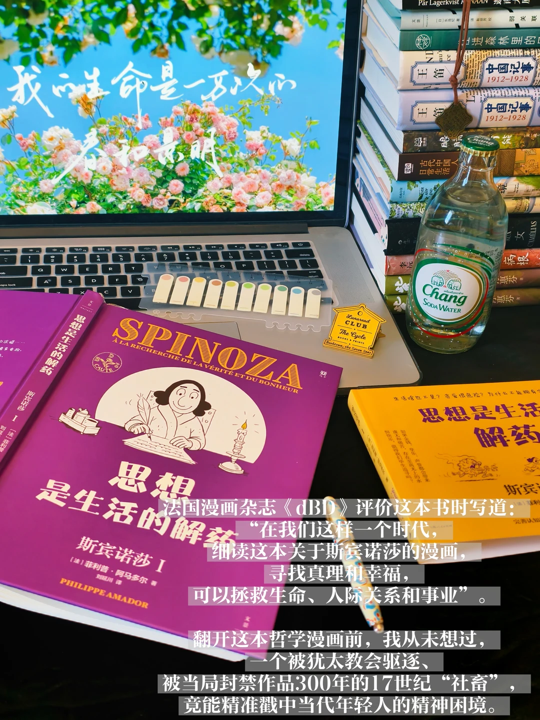 磨镜片的社畜，竟然治愈了全世界的内耗？