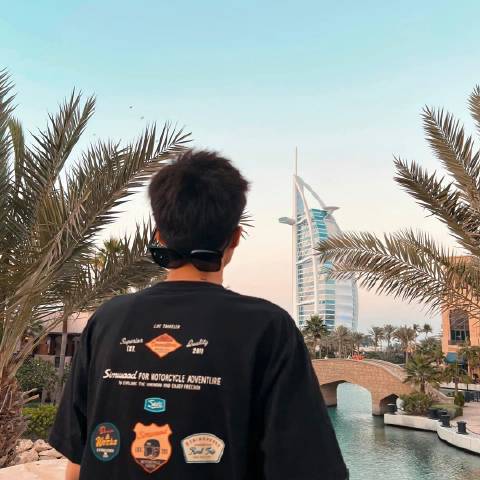 科技小飞
