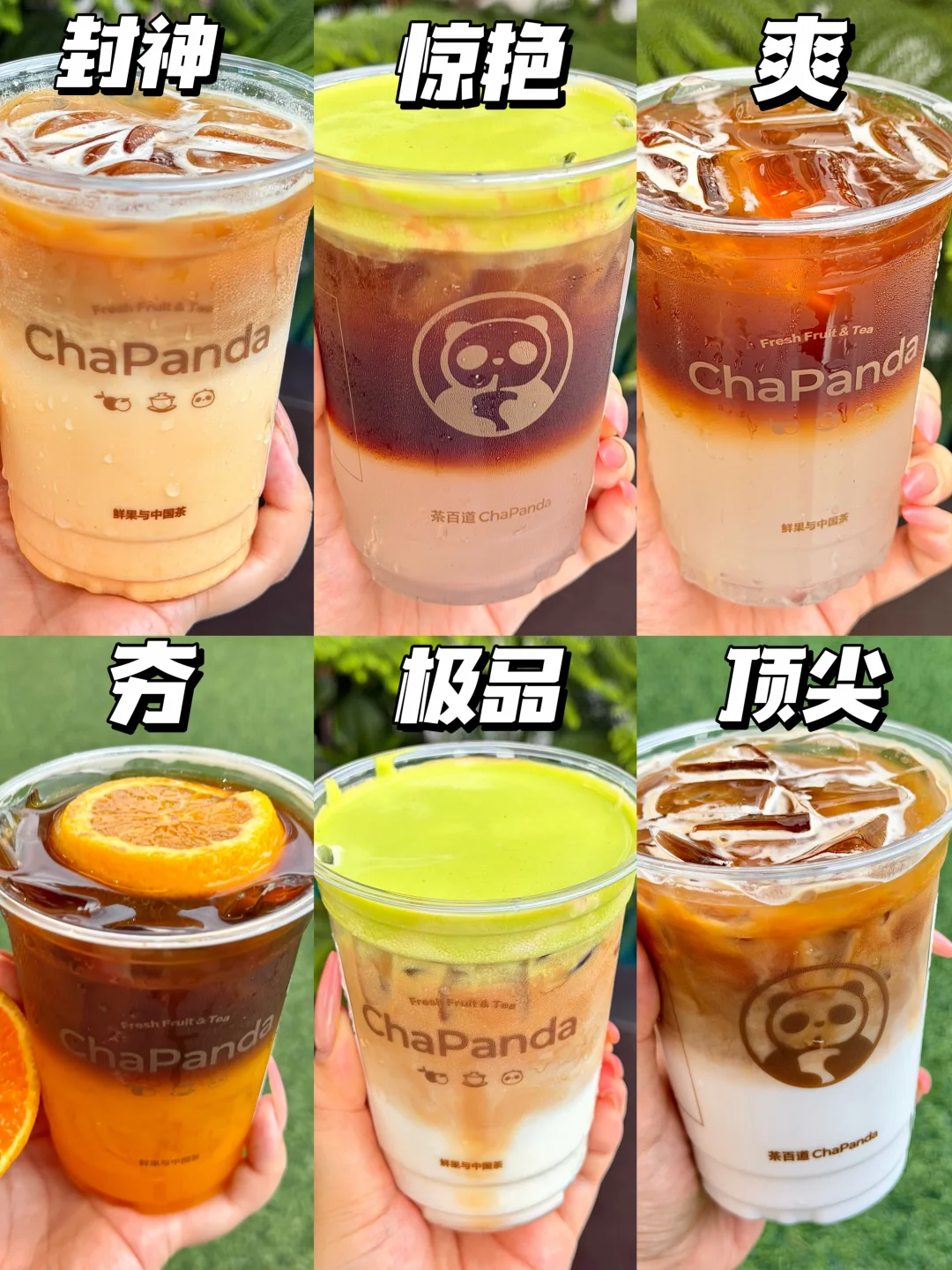 最近喝到的权威咖啡测评…咖啡届还是太卷了…