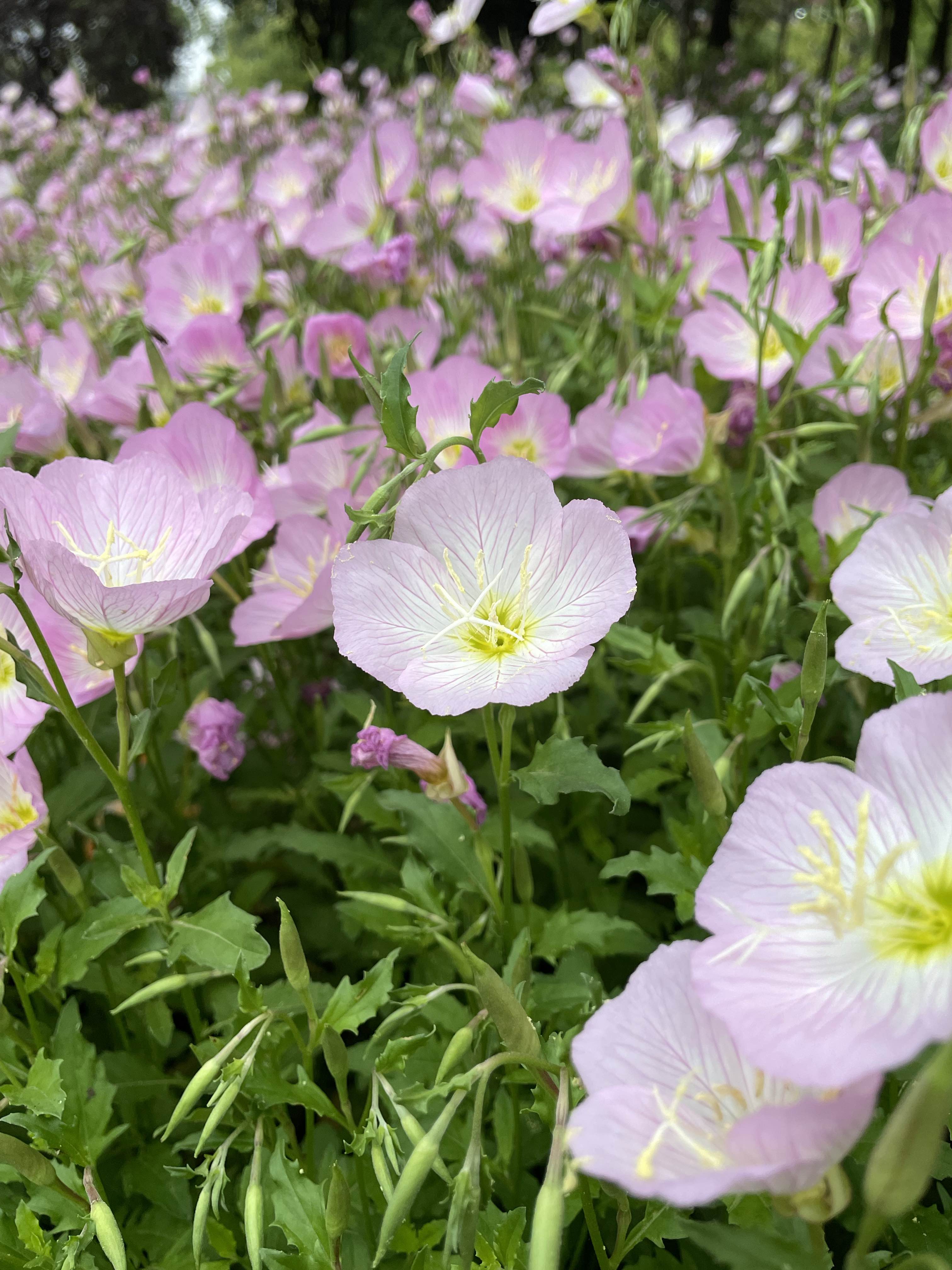 老祖宗的“人性清醒剂”：3句话拆穿感情与处世本质，越早懂越幸福  都说...