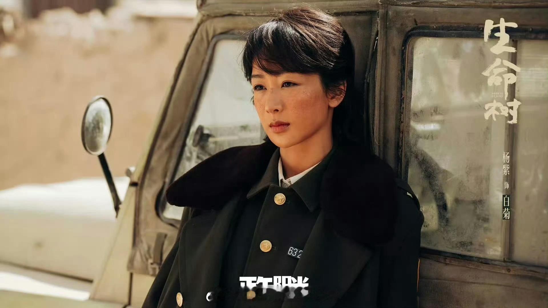 【#金鹰奖提名名单#公布】第33届中国电视金鹰奖名单公布，#电视剧生命树# 获得电视剧作品、电视剧编剧、电视剧导演（李雪）、男主角（）、女主角（）、男配角（）、女配角（）共7项提名。

此前，杨紫凭借《生命树》斩获白玉兰最佳女主角。《生命树》以1996年青海省玛治县为 ​