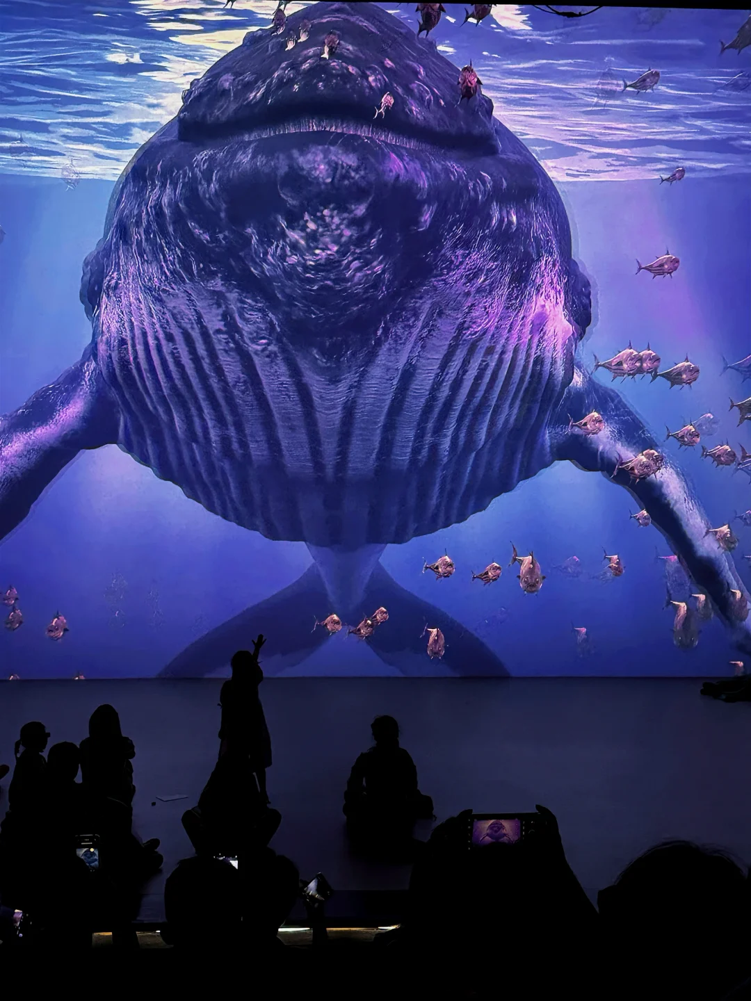 不用挤海洋馆！在西岸潜入真实深海梦境🌊