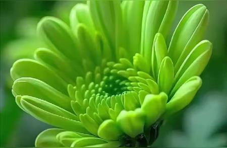 <img src="https://dayu-img.uc.cn/co...