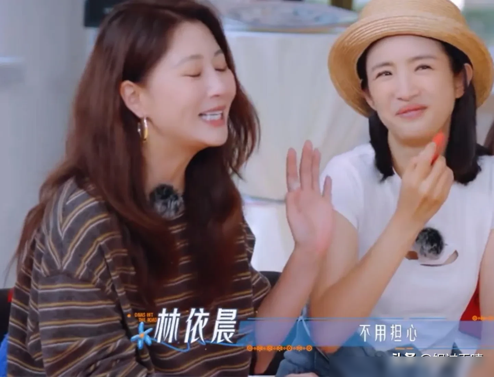 林依晨盯着墨西哥飞阿根廷的行程单直冒冷汗。20天横跨拉美荒野，七个毫无交集的陌生人，想想偶数季魔咒都让人窒息。就在她咬紧嘴唇时，殷桃直接把水杯磕在圆桌上，盯住她甩出一句，有我在，我保护你。
你看9月4日开播的这场局，根本没废话。吴君如拍大腿自嘲脾气急，林依晨死磕推进效率，弟弟们全程扛起所有行李。镜