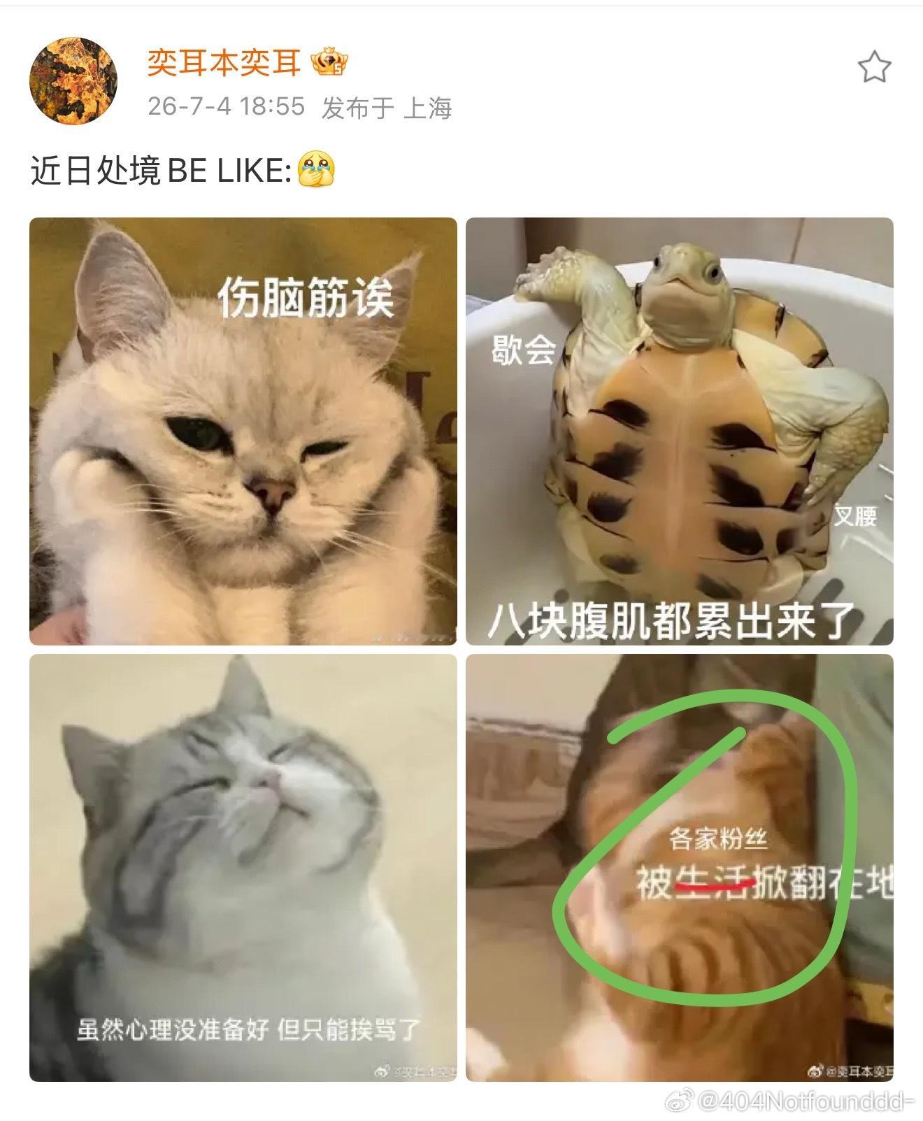 妈咪发现装傻躲不过之后by bike: 大家已不再是股东友友 而是变成...