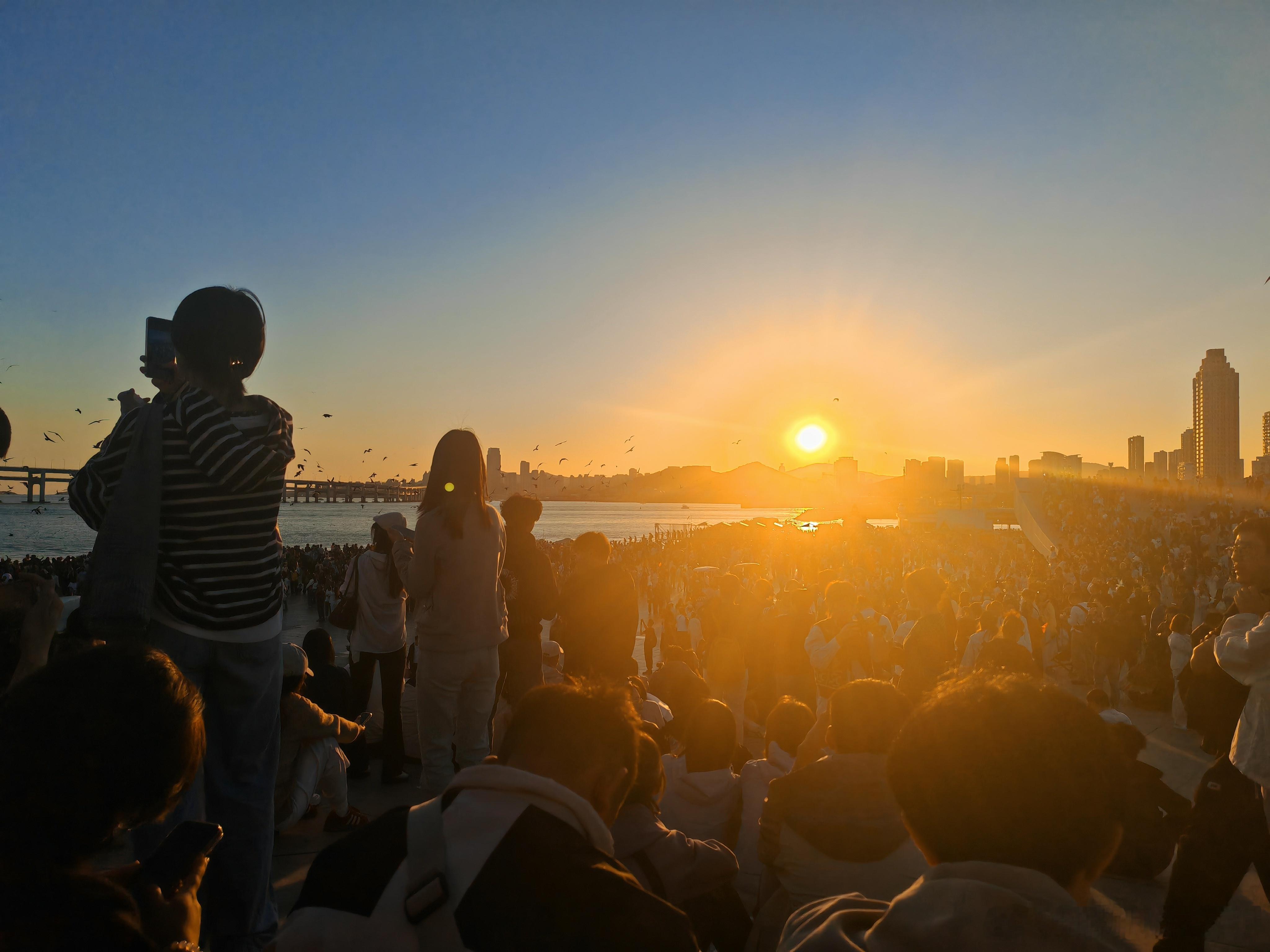 大连DAY2-2 在莲花山看到小鹿，然后稀里糊涂错过了金沙滩直接走到了星海广场，星海广场的人真的是超级超级多，日落还是挺好看的，如果住在这边平时来看看日落应该很惬意。总结几个沙滩都算夯，星海广场算NPC吧。最后慕名去排了威尔威尔，排了四百多桌，最后以美团下单自取结束战斗，招牌的几样都没点上 ​