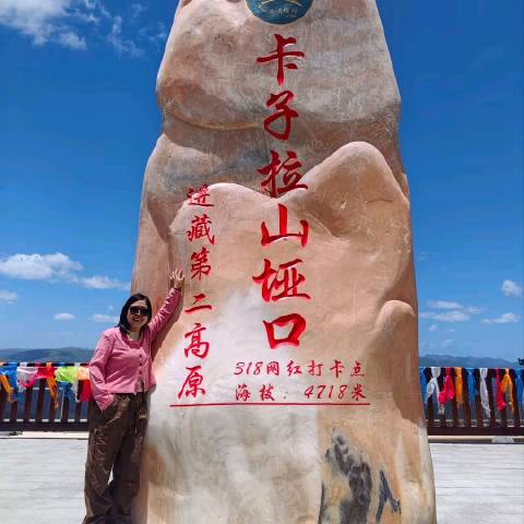 洋洋有个弟弟