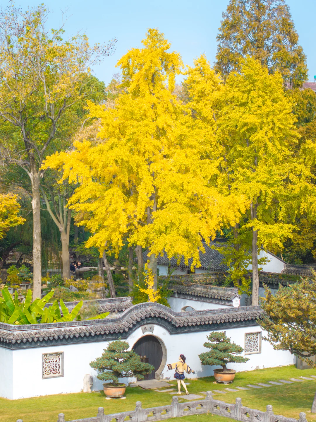 上海1h | 这里的秋天像五彩斑斓的梦