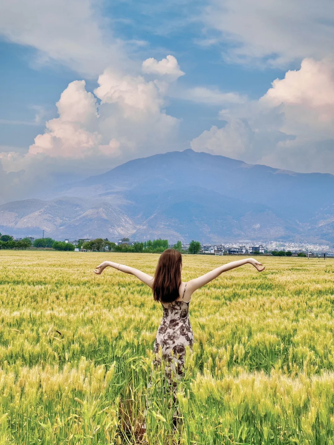 大理四日游｜拒绝特种兵❌慢逛才是正确方式