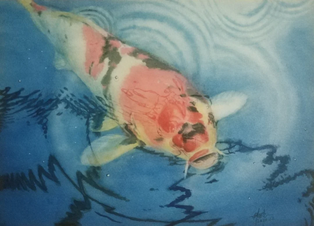 水彩 锦鲤