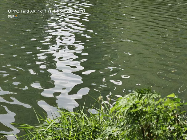 绿意与湖水