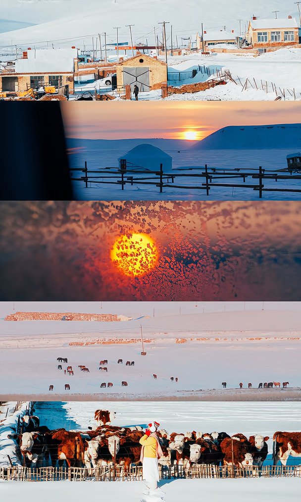 你失约的呼伦贝尔❄️我一个人来了