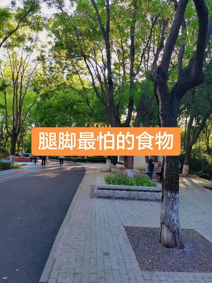 亚运乒乓球男单决赛看点拉满！林诗栋4:0战胜王楚钦，成功拿下亚运男单金牌，少年爆发一战成名，拿下属于自己的荣耀！亚运会乒乓球 林诗栋夺金 国乒 亚运金牌