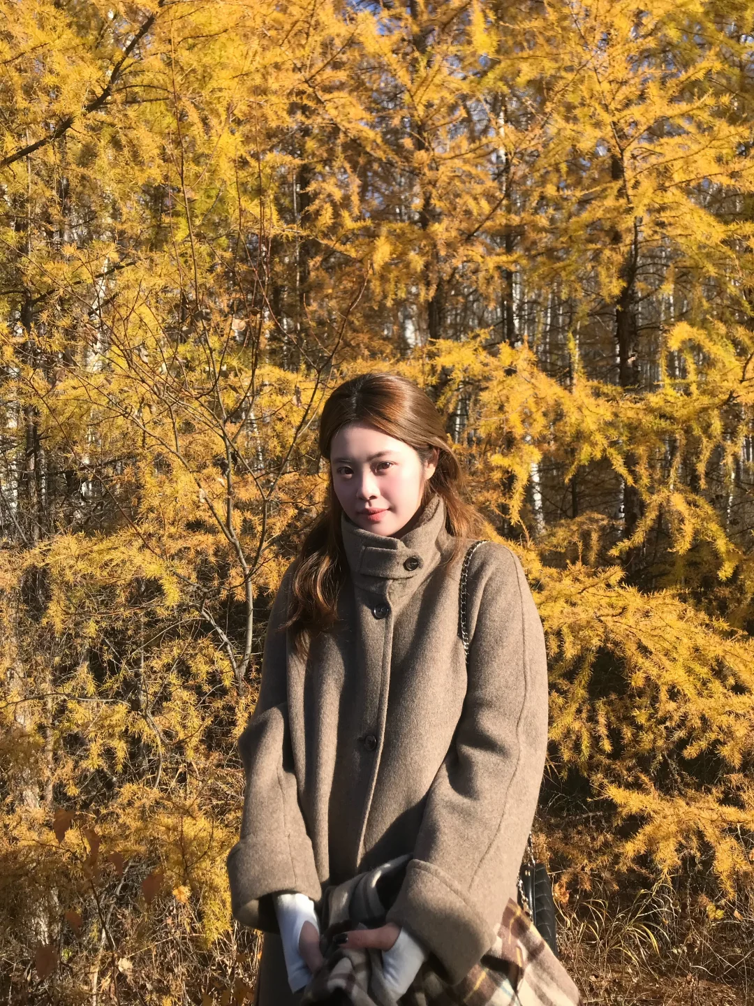 被裹在金黄色的秋天里🍂🌞