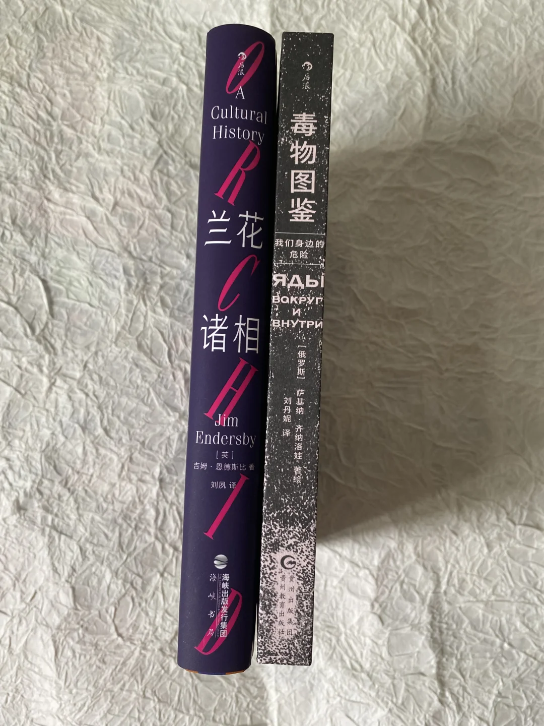 暗黑书系➕1，化身邪恶绝命毒师 | 女巫进阶版