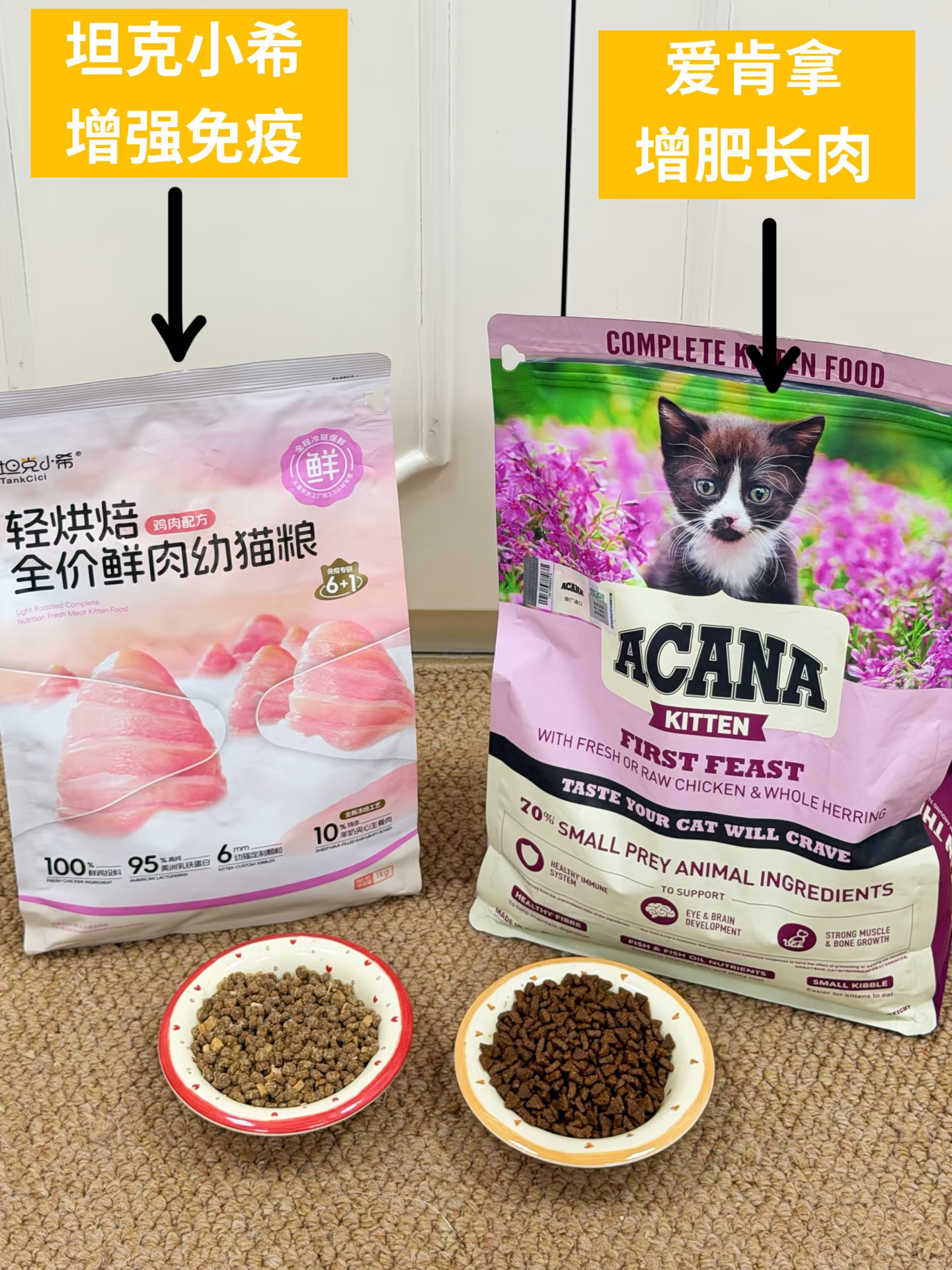 幼猫粮二选一！新手养奶猫别再纠结啦