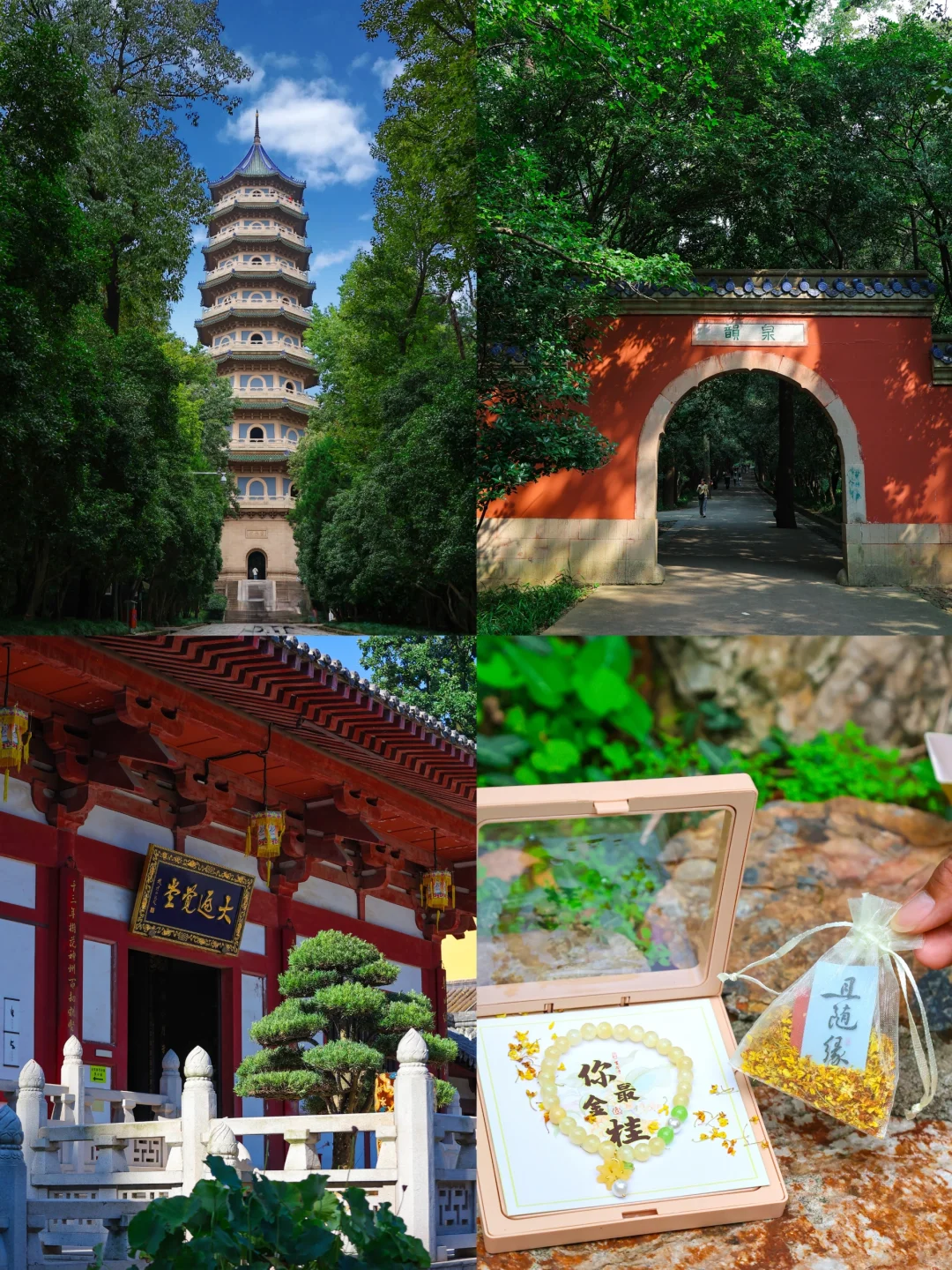 来南京千万别错过人少景美的灵谷寺❗❗