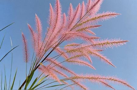 生活中的人情世故，你读懂了多少