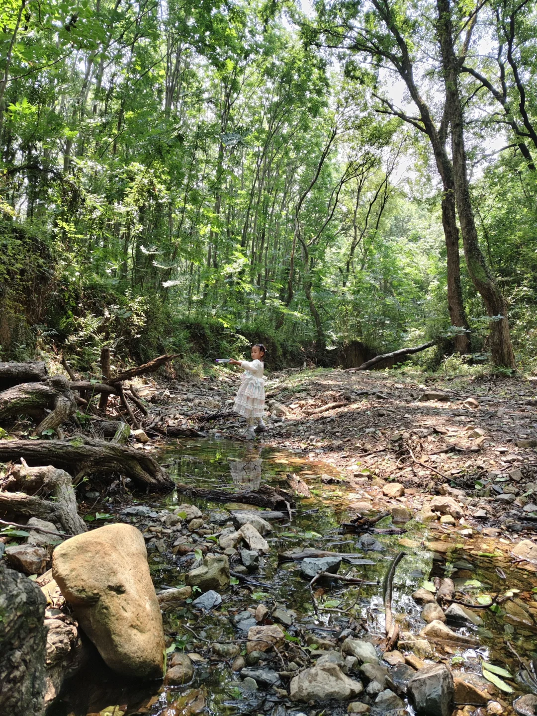 南京5.24实拍|紫金山徒步溯溪玩水还得是这