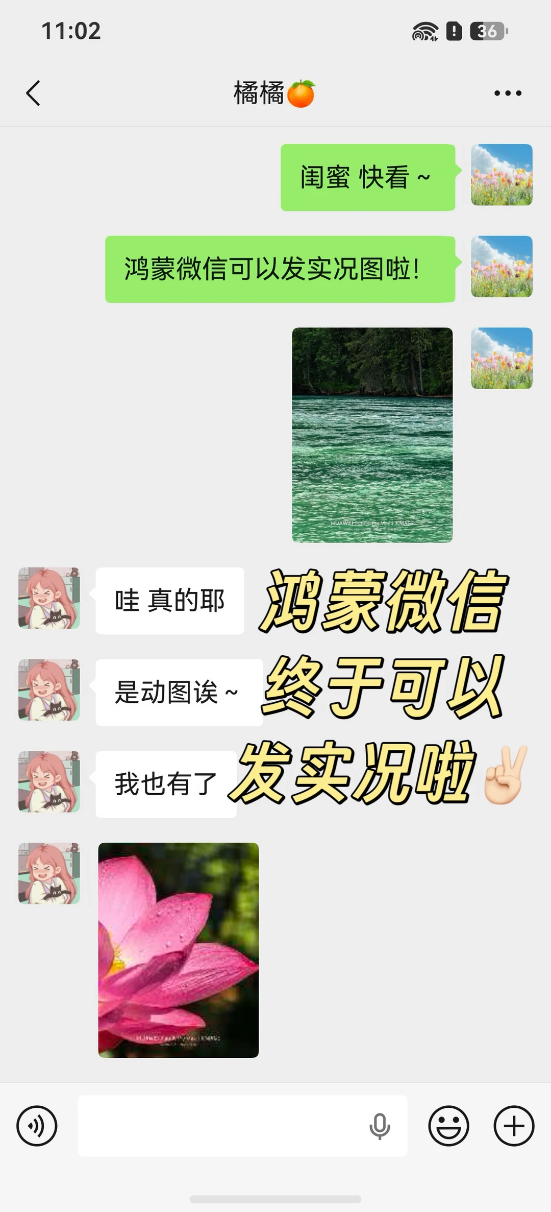 🥳来了！鸿蒙微信全量都可以发实况啦✌🏻