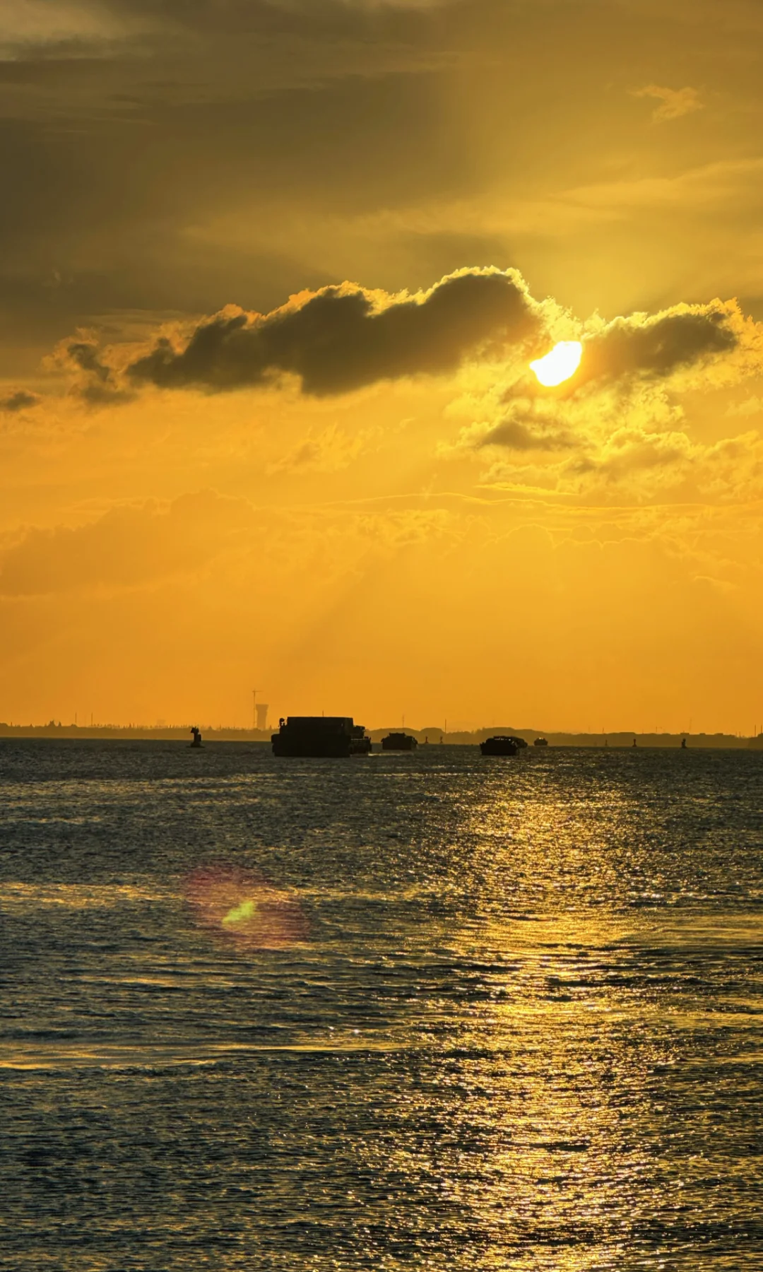 上海市区1h | 戒断反应很强的免费🆓景区