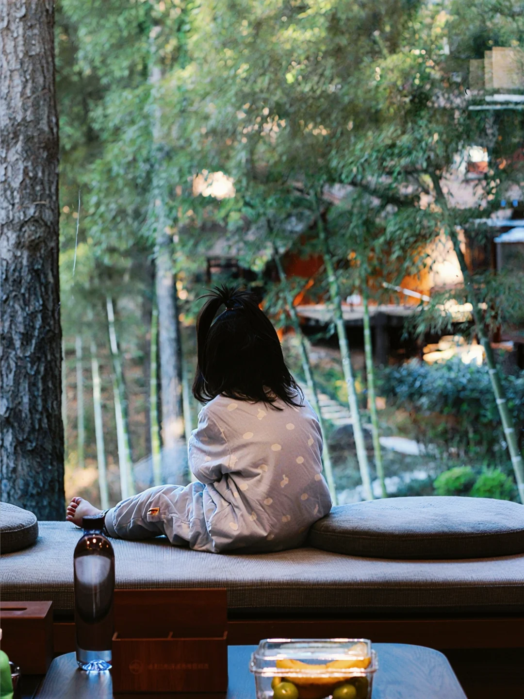 心愿达成｜一家人住进森林木屋🌲🌲🌲