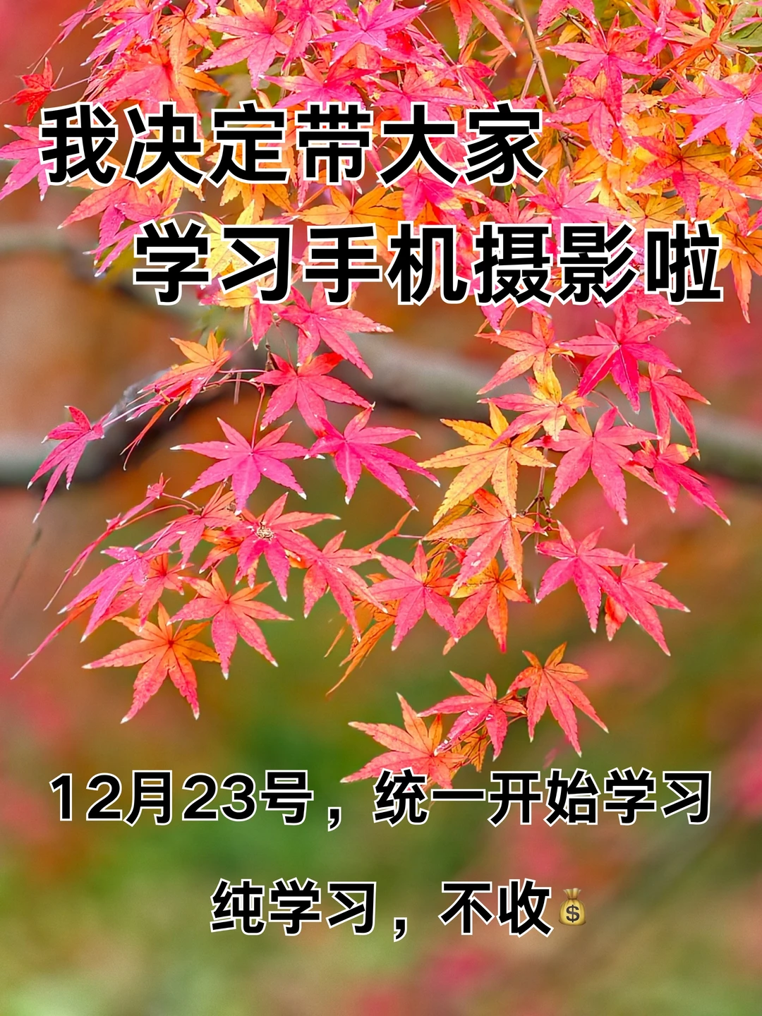 我决定带大家学习手机摄影啦！！