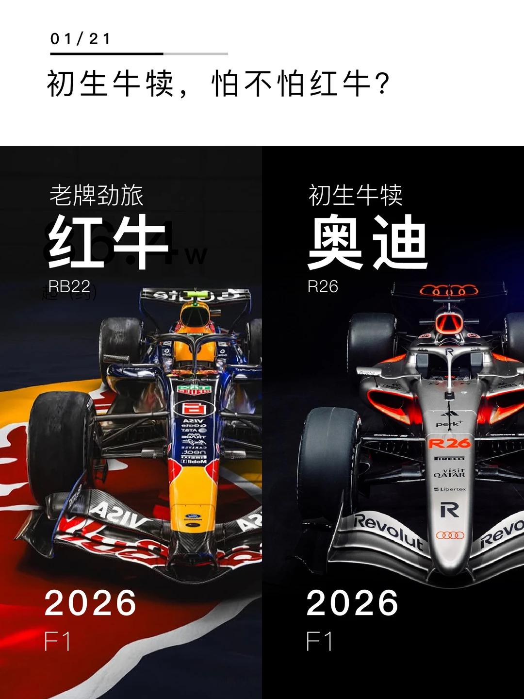 初生牛犊，怕不怕红牛？