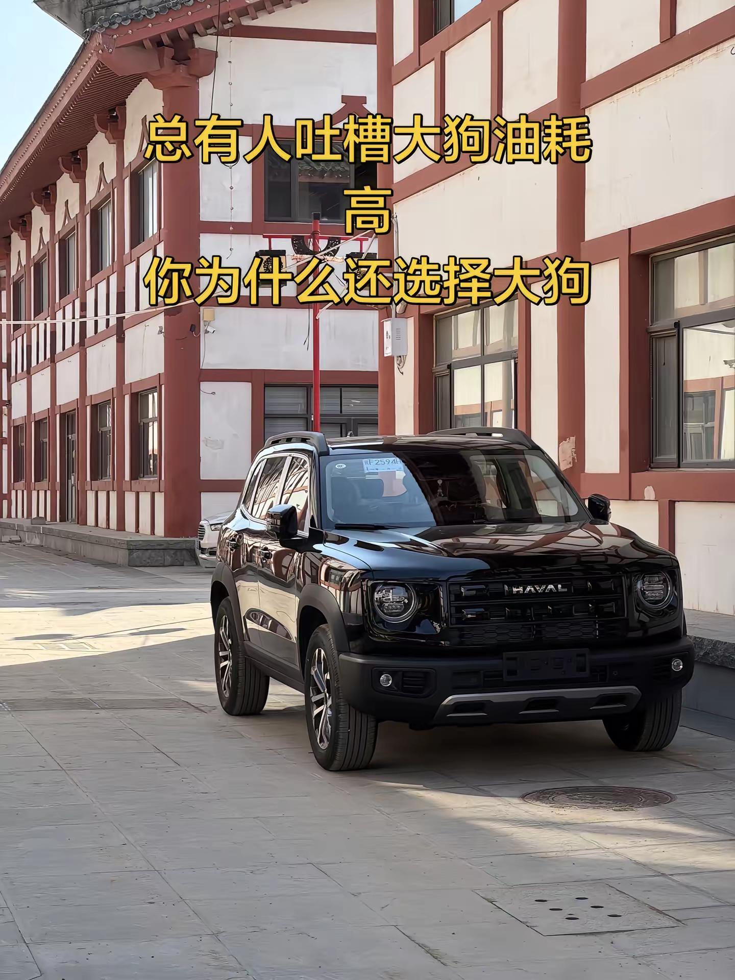 总有人吐槽大狗的油耗高 你为什么选择大狗大狗 哈弗