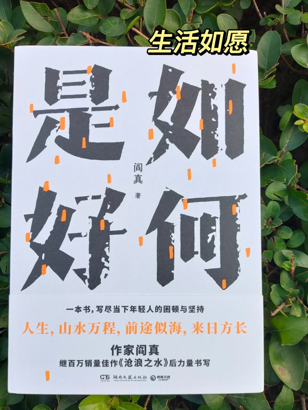 迷茫的大学生，我们该如何是好丨好书分享