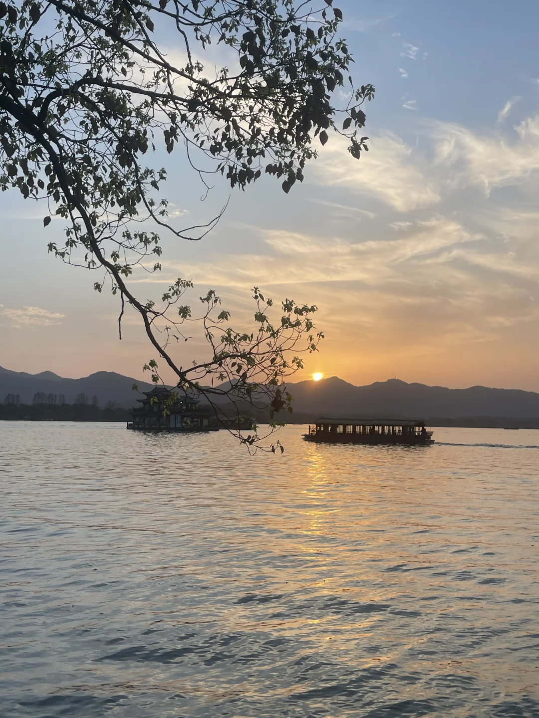 杭州：你一句春不晚，我便到了真江南 🏞️