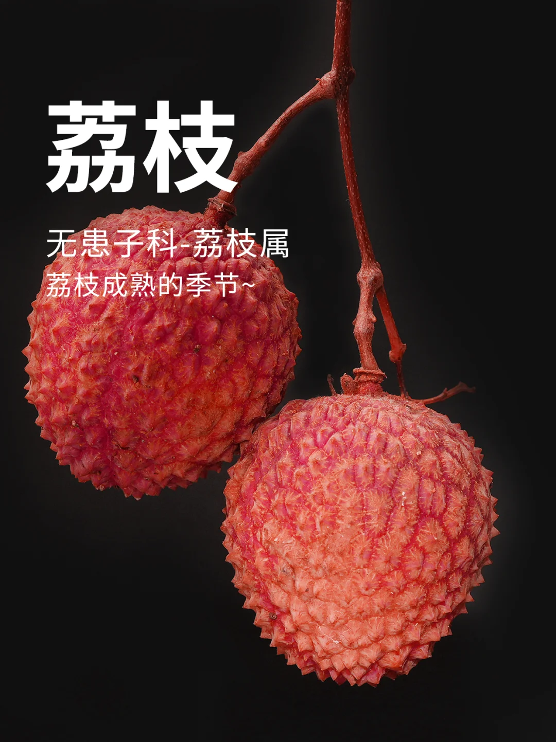 荔枝瀑布，这是荔枝的季节