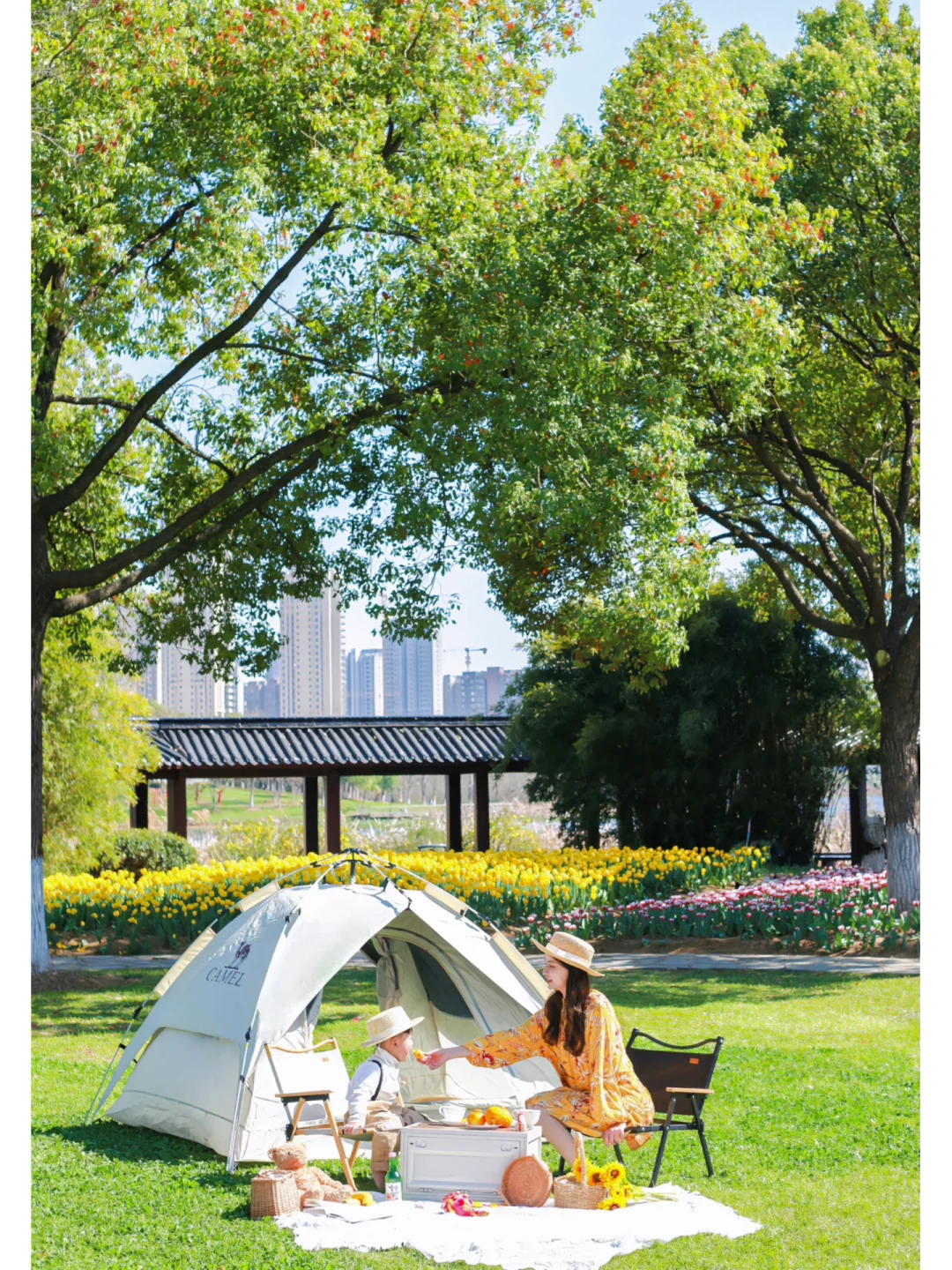 武汉拥有20w株郁金香大草坪的免费露营地‼️