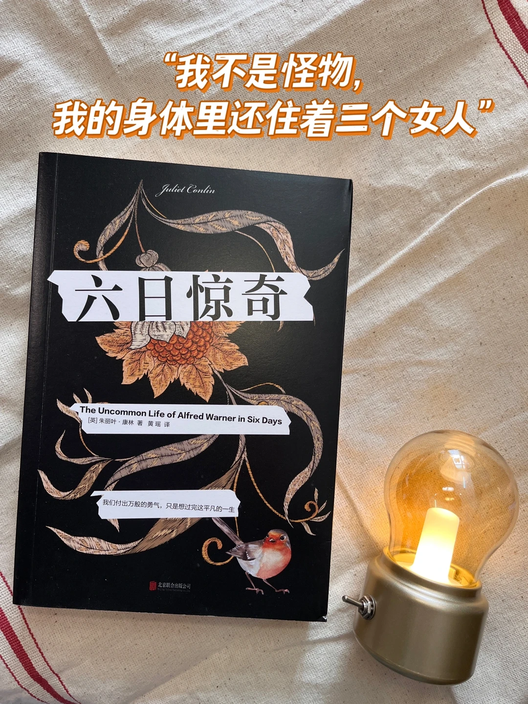 一个老人惊奇又平凡的一生，作者太会写了