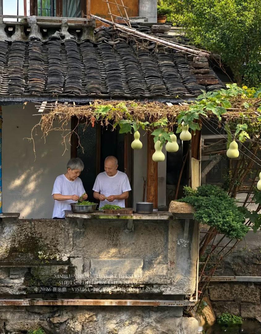 #葫芦爷爷走红销售额涨4倍店主发声#
可是，这有提升爷爷奶奶的生活质量吗
我只看到爷爷奶奶不堪负重。太吵了
老人受不了，休息不好
忍痛把葫芦剪了
希望爷爷奶奶的生活质量，有所改善
这才是根本
而不是一味的喊爷爷爷爷，满足自己的猎奇心 ​