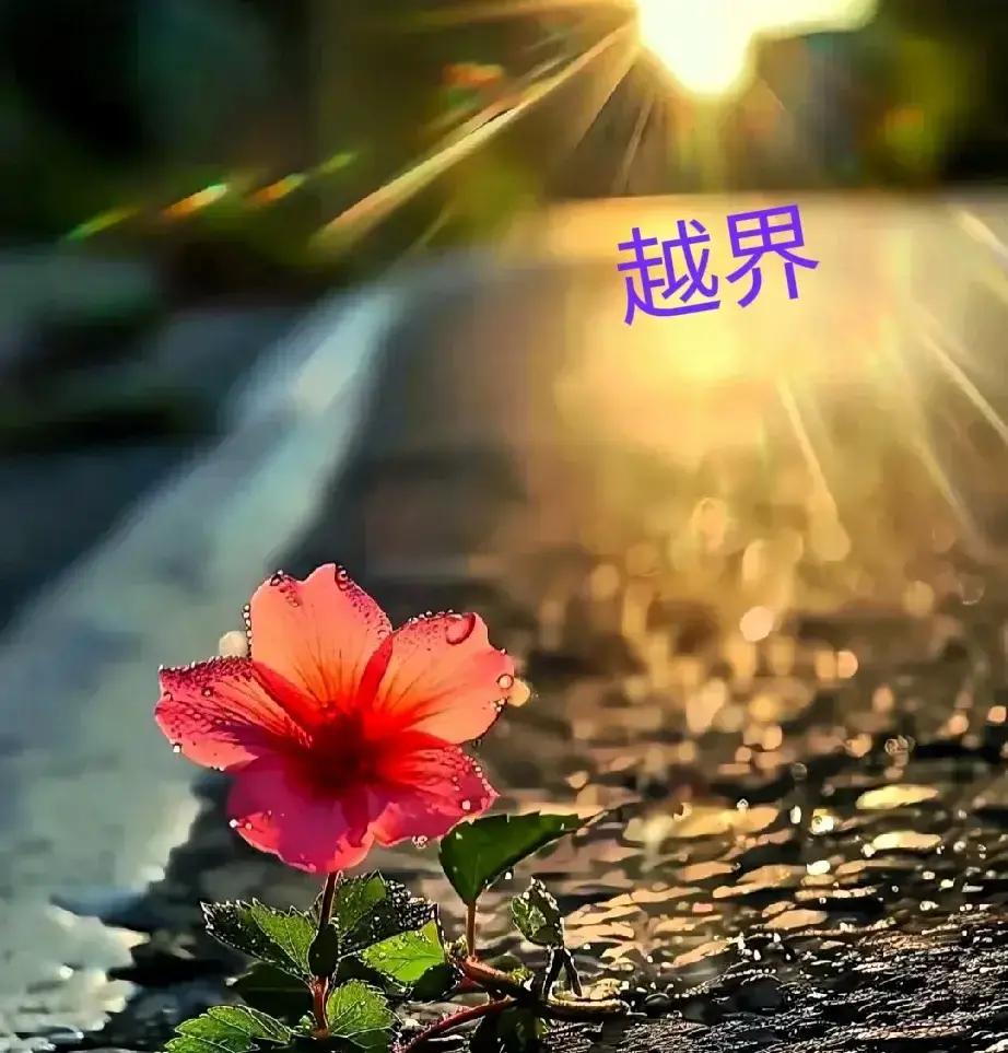 年纪越大，感触越深！ 这就是人情世故 第一: 微信里，90％的人是不联...